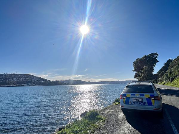 Police car parked up near water on a sunny day in Wellington.