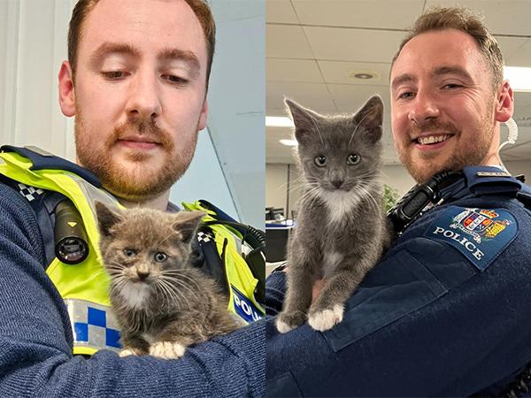 Officer holding Storm when he was rescued a few months ago, and now. 