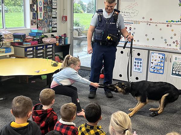 A young student playing tug-o-war with Police pup Iha under the watchful eye of her handler during a school visit.