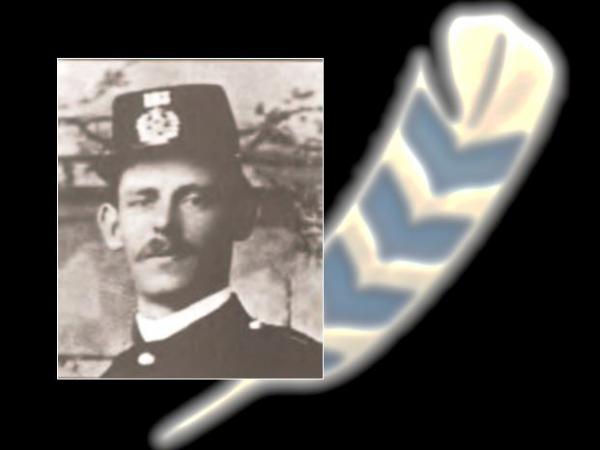 trib doyle