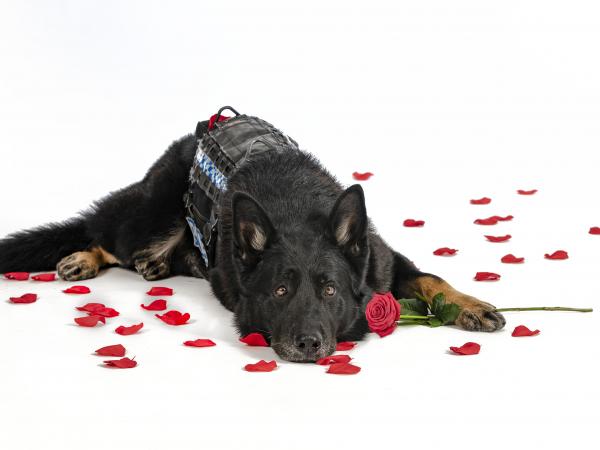 ... And Quid feeling the love in February.