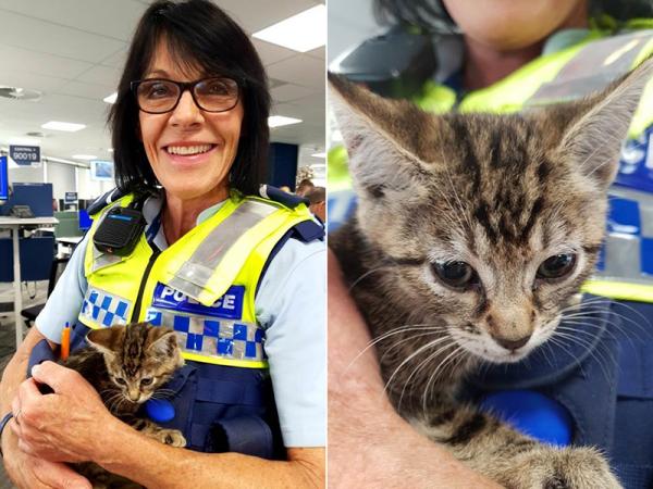 Senior Constable Sherryl Pearce with the rescued kitten.