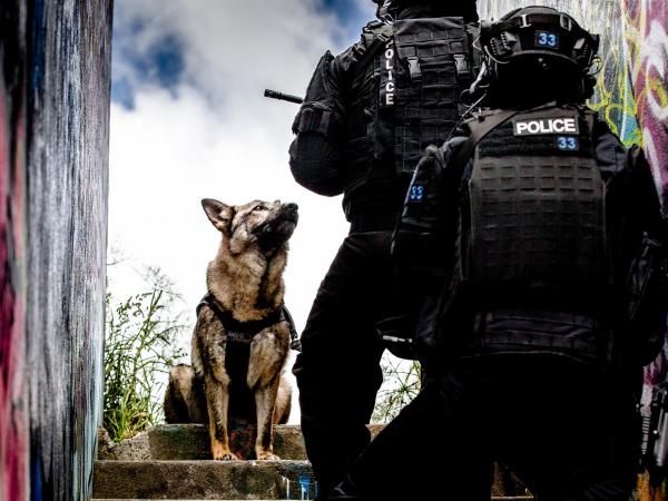 Dakota in the 2021 Police Dog Trust calendar