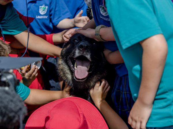 Police dog Ice enjoys meeting some of his young fans.