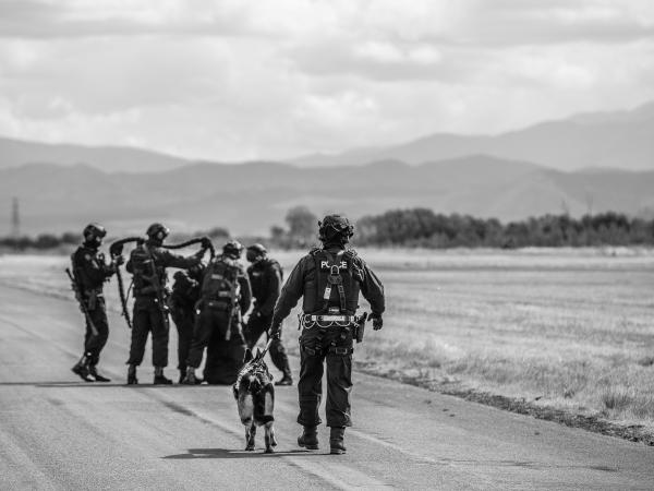Police dog Ice with the tactical team on the ground. Photo credit: Jane Dunn Photography.
