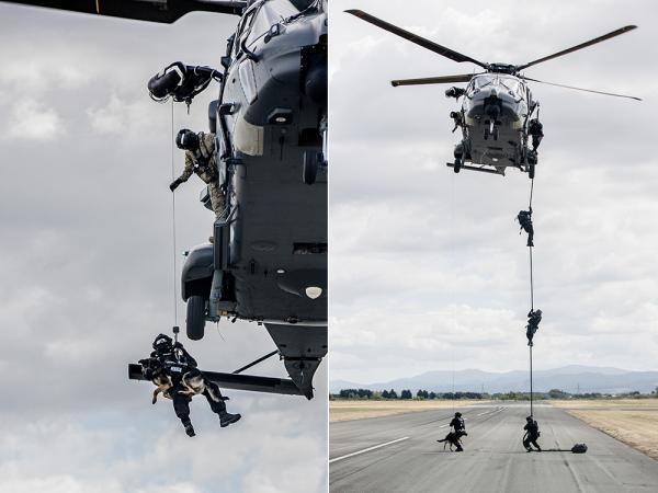 While Ice and Luke were winched to the ground from one side of the NH90, STG operators fast roped from the other. (Photo: Jane D
