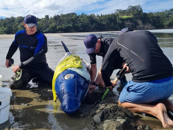 The team putting survival techniques into practice on a 200kg water-filled inflatable dolphin.