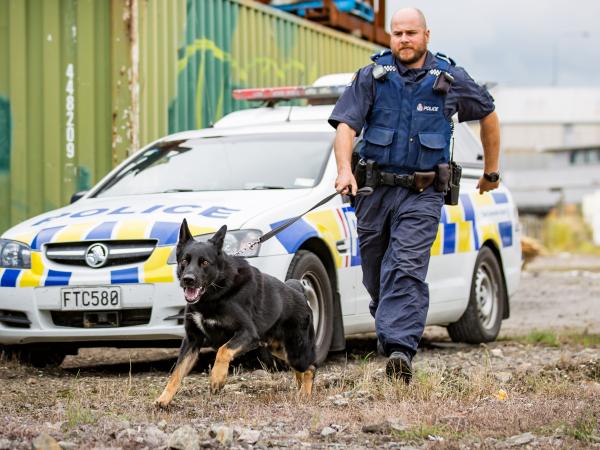 In action: Senior Constable Dave Robison and Ice. Photo: Dog Squad/TVNZ