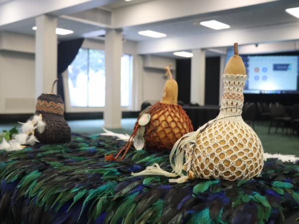 The three hue (gourds) that hold the mauri (life force) of Te Pae Oranga o Ruahine, o Tararua. Left to right: Te Pō - the night 
