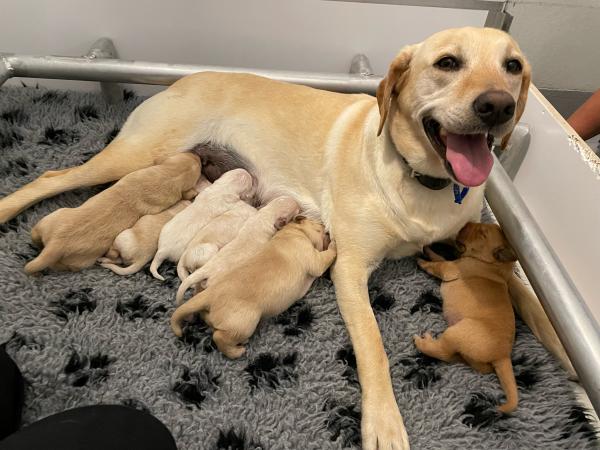 Isla with her blended family. 