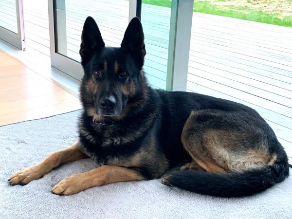Vadar laying down on his bed at home.