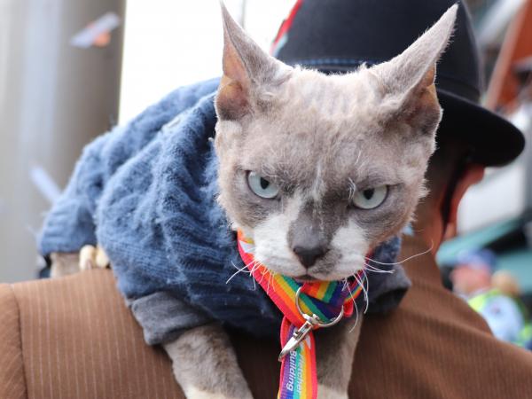 ...and the grumpy.
