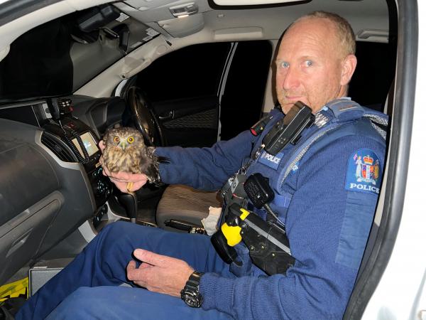 Senior Constable Willy Searle in the patrol car with the morepork.