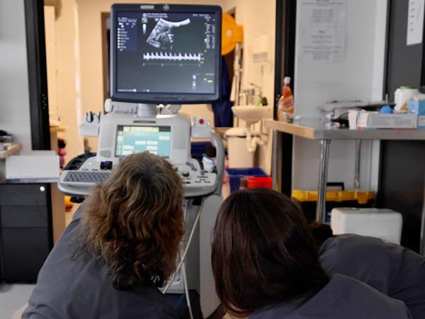 Backshot of DTC staff using the ultrasound machine.