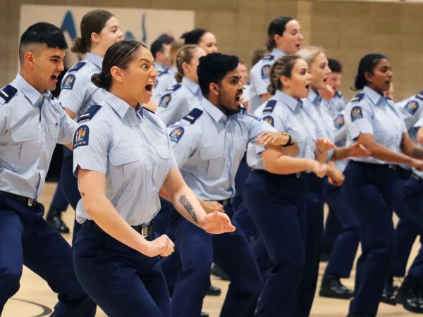 Wing 357 haka