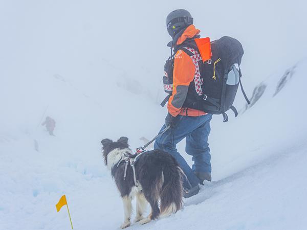 Search dog Echo and handler Lisa Jaggi on one of the mountain slopes. PHOTO CREDIT: A Hoyle.