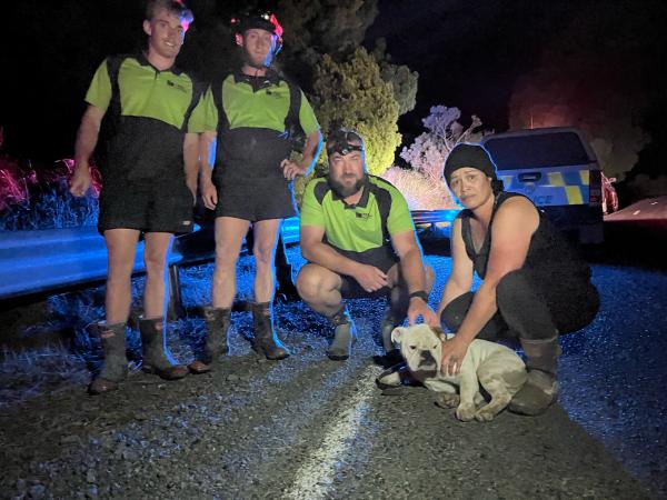 The Tree Control team of, from left,  Luke McClymont, Billy Carter and Rob Duytshoff with Zeus and his grateful owner Shar Hawki