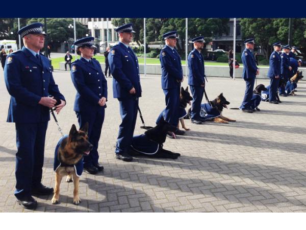 Mark, foreground, and colleagues at Parliament in 2016 to mark the 75th anniversary of women in Police.