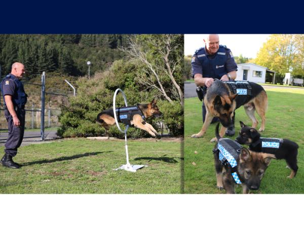 Mark led development of the Mako harness, and Ike put it through its paces in 2016. When it came to the modelling, a couple of t