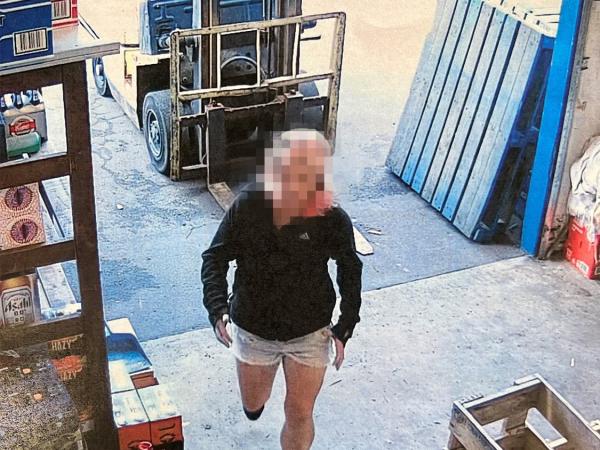 One of the offenders caught on camera. Their face has been pixelated. 