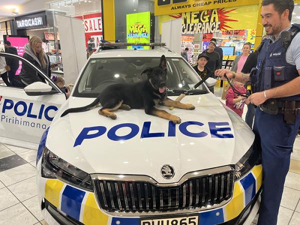 An officer nest to a police car holding the lead of a police pup sat on the bonnet.