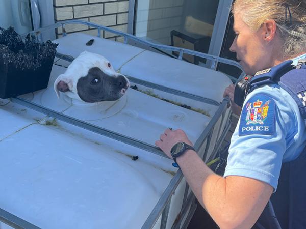 Constable Sam Evans helping to comfort Tiny.