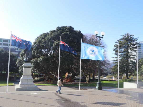 The Interpool flag flying in Parliament grounds.