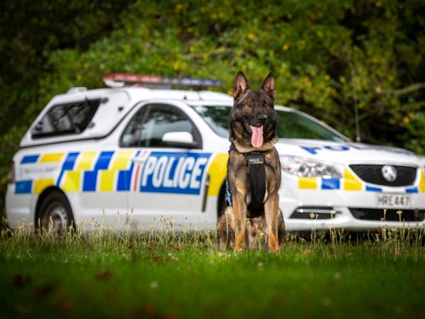 Oden sat in front of a police car. 
