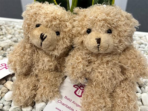 Two of the Angel Bears.