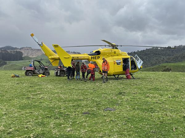 The search teams in action.