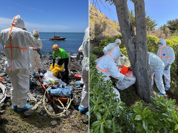 Two photos of the DVI teams working on the body recovery process. One on the beach, and one in bush by a tree.