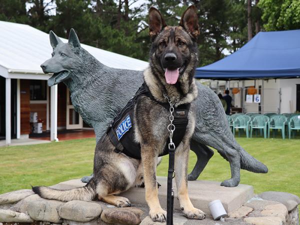 New patrol dog Kyiv posing next to the Dog Training Centre's resident dog statue.