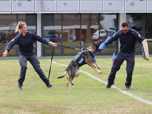 Two trainee dog handlers demonstrate what police dog Nico can do.