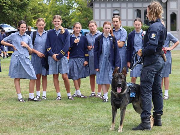 Police dog Nico looks at the camera while his trainee handler talks to some of the students. 