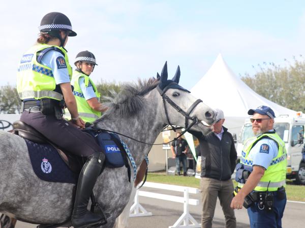Doris the horse strikes a pose at the Central District Field Days.
