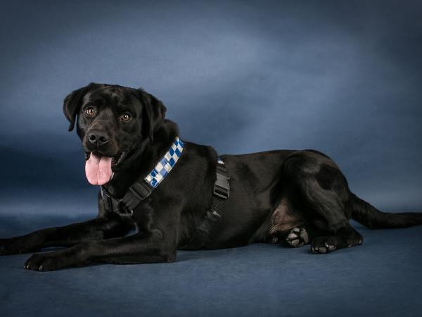 A studio portrait of E-Zak, more commonly known as Zak, by Senior Constable Jane Dunn. 