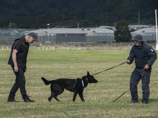 Constable David (Billy) Hill from Rotorua and police dog Issy in a tracking exercise with Dick Staal.