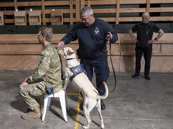 Detector dog training 