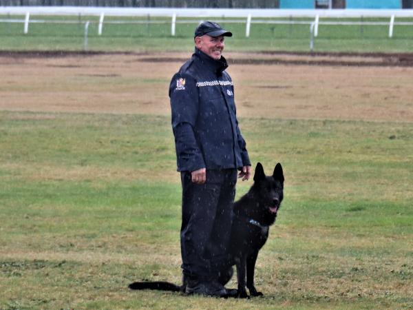 Senior Constable Billy Hill and Indo during a wet Bay of Plenty/Waikato Dog Trials.