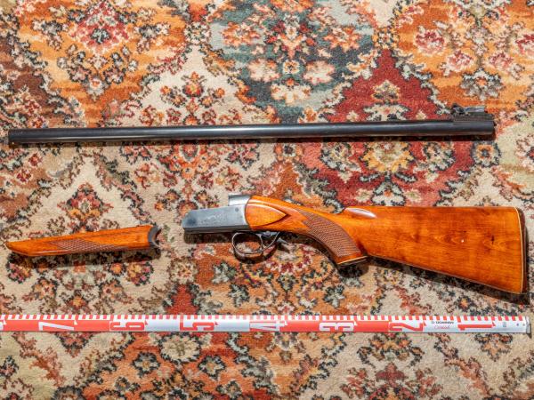 firearm