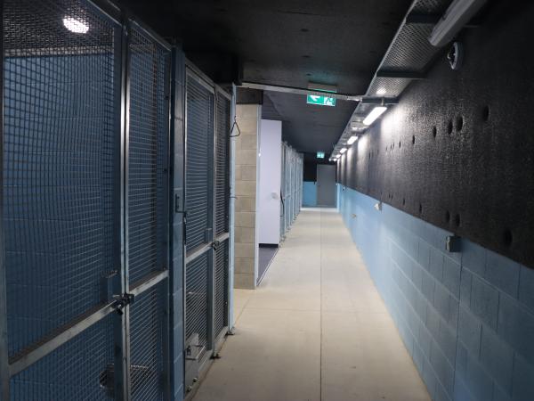 Inside the spacious kennel area.