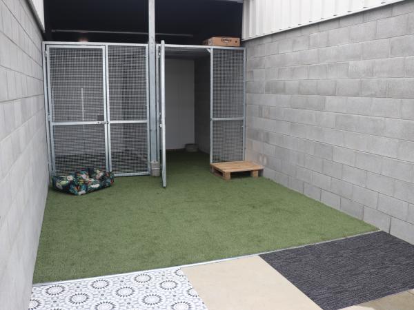 The puppy area.