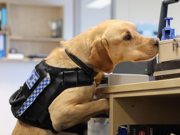 Rivet at work during a training exercise. 