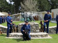dog lineup
