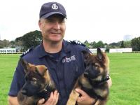 Steve Pike puppies