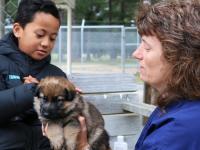 Tawhiti pup