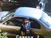 suspect