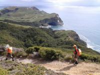 Searchers in Golden Bay looking for Dutch tourist Ken Boogers