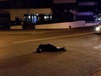 This man was found asleep in the middle of a road in central Napier.road.