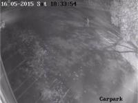 Possible witness
